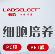 PP-96-FS-0100-WW 96孔100ul全裙边PCR板，H1切角，白框，白管