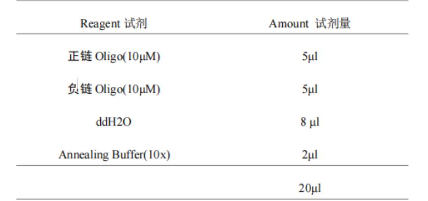 寡核苷酸退火緩沖液Annealing buffer, 10×