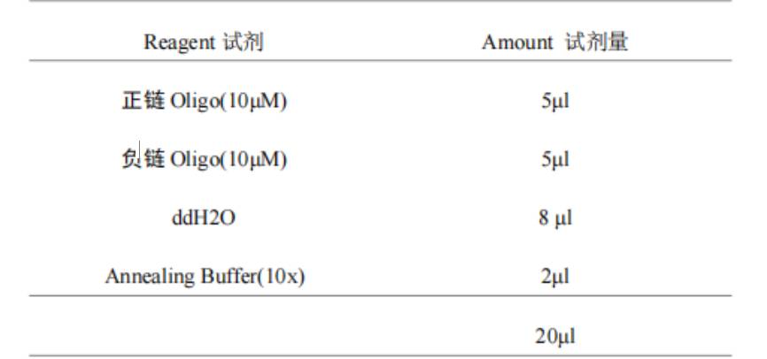 寡核苷酸退火缓冲液Annealing buffer, 10×