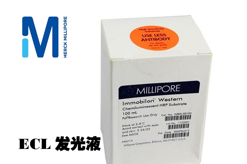 WBKLS0100，Millipore/密理博，Immobilon Western HRP 底物（ECL化学发光试剂盒）