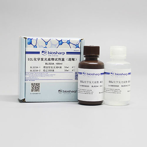 BL523A，Biosharp，ECL化学发光底物试剂盒（超敏）