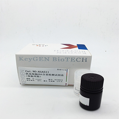 KGA512，凯基，细胞周期检测试剂盒