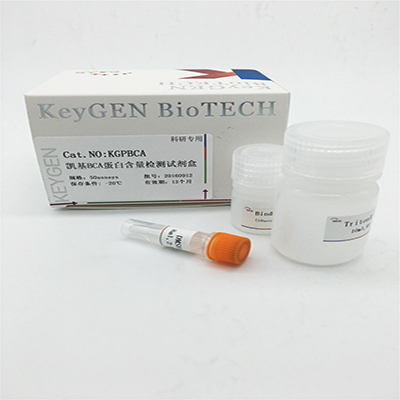KGP902，凯基，BCA蛋白含量检测试剂盒