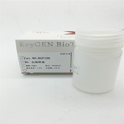 KGP106，凯基，WB一抗稀释液