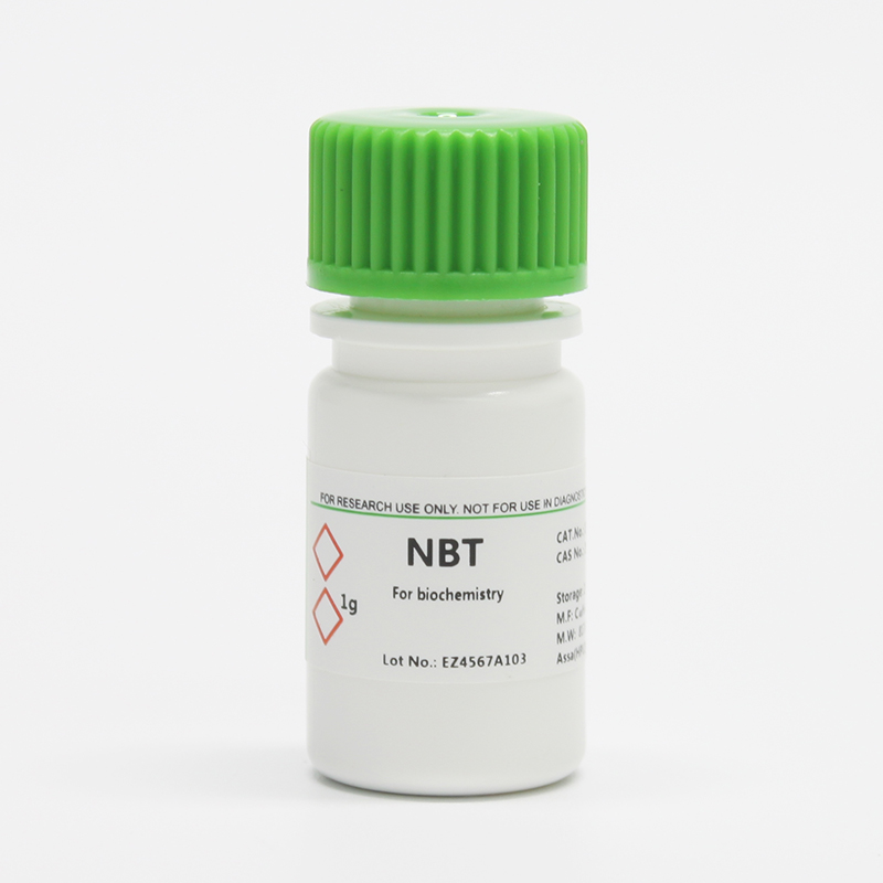 BioFroxx ，1267GR001， 氯化硝基四氮唑兰 NBT