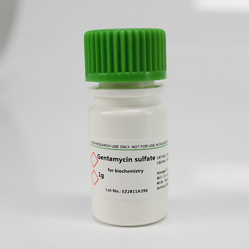 BioFroxx， 1453GR001 ，硫酸庆大霉素Gentamycin Sulfate