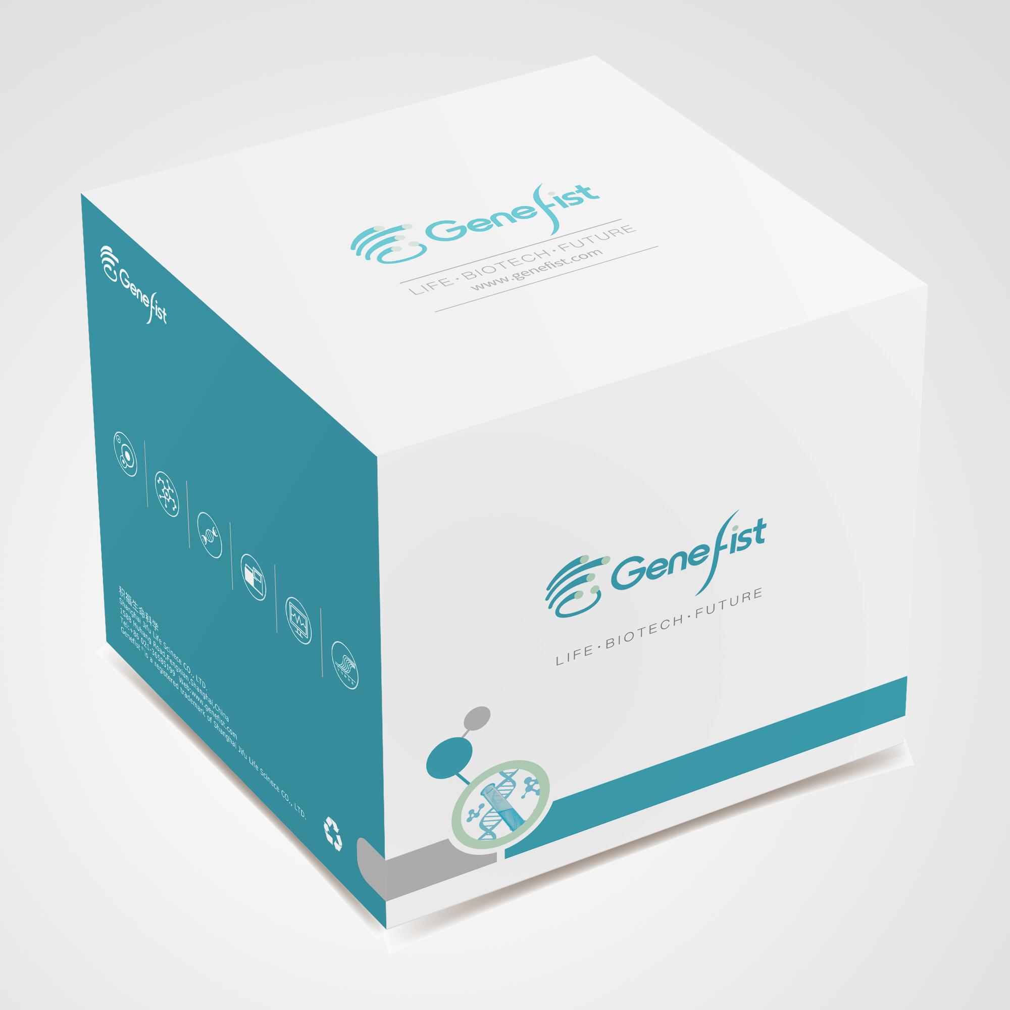 genefist，GF1800-06，6% PAGE预混胶试剂盒