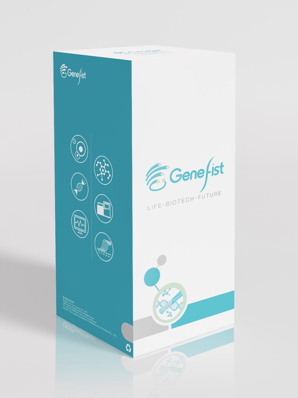 genefist，GF1817，5X半干转快速转膜液