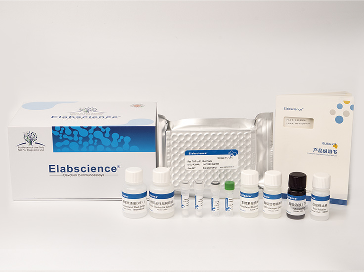 人白介素6受体(IL-6R)酶联免疫吸附测定试剂盒