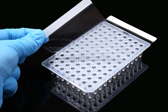 PCR封板高透膜，压敏膜，141 × 78 mm  410011