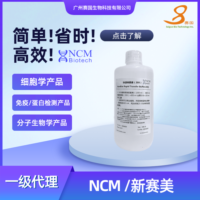 NCM/新赛美  快速转膜液（20X）