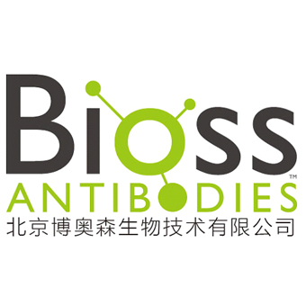 BSA溶液(0.1%,无菌)  BSA solution (0.1%, sterile)