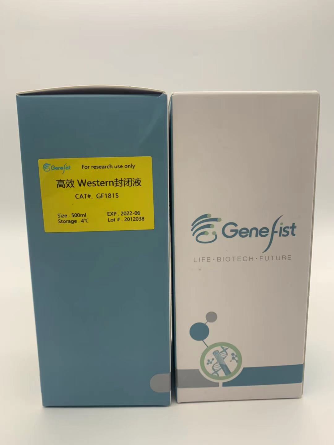 genefist，GF1815，高效western快速封闭液（10分钟）