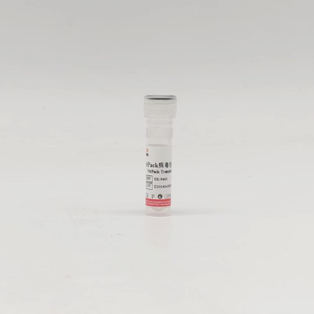 Vipack 病毒包装转染试剂 Vipack 病毒包装转染试剂